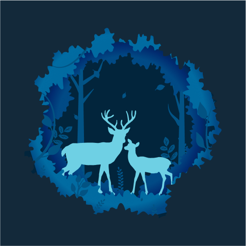 deer